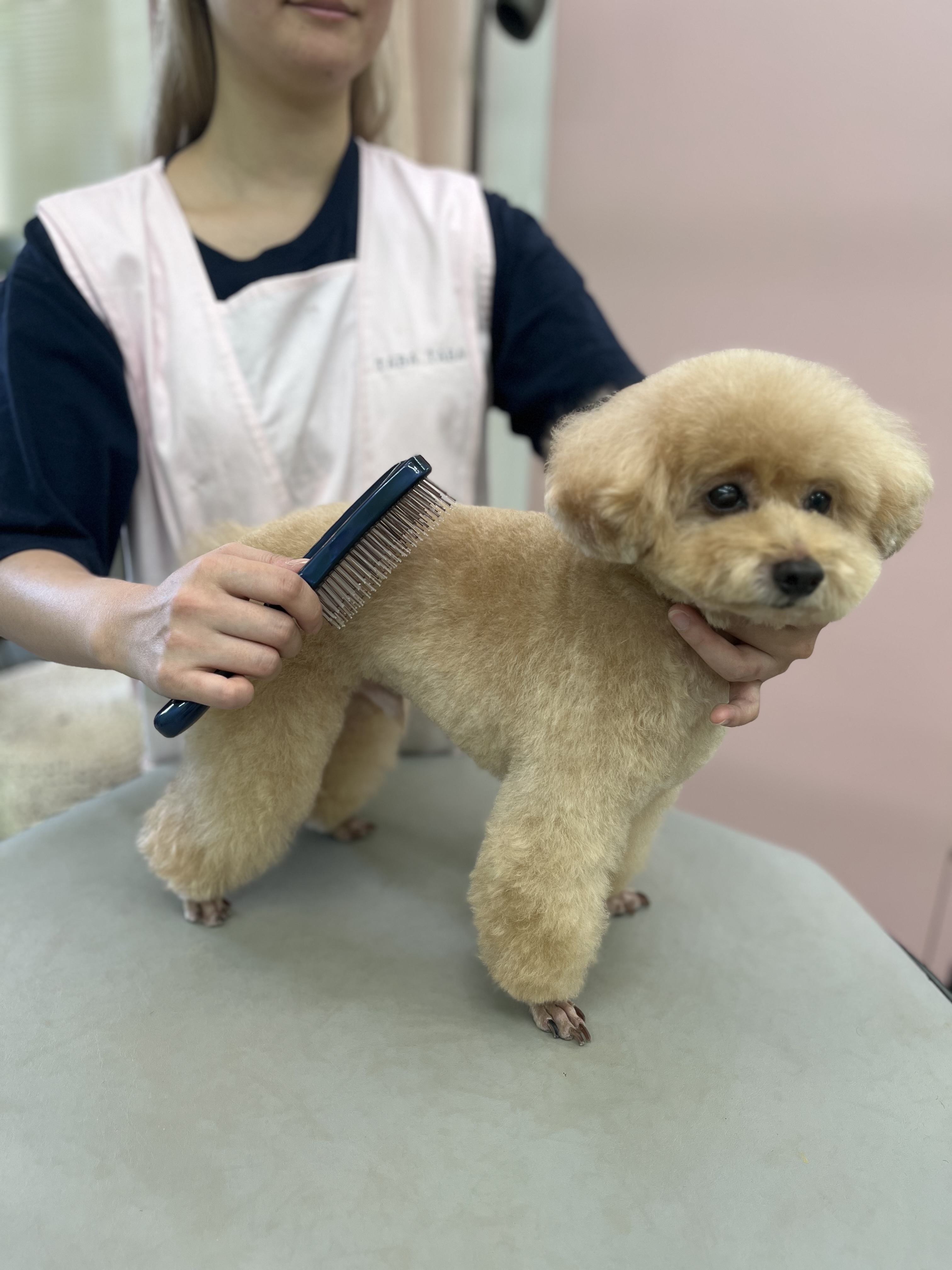 GROOMING